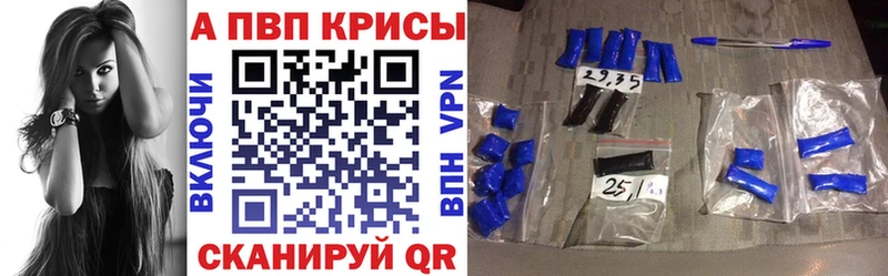 A PVP СК КРИС  Ковылкино 