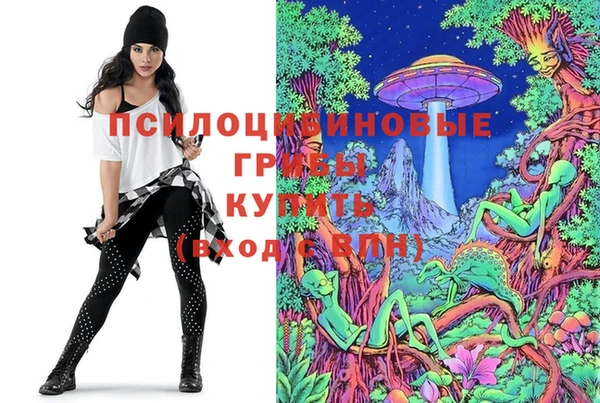винт Наволоки