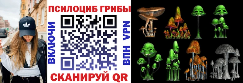Галлюциногенные грибы GOLDEN TEACHER Ковылкино