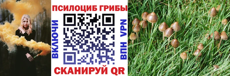 Галлюциногенные грибы Magic Shrooms  площадка клад  Ковылкино  закладки 