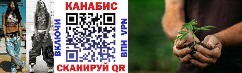 Бошки Шишки ГИДРОПОН  Ковылкино 